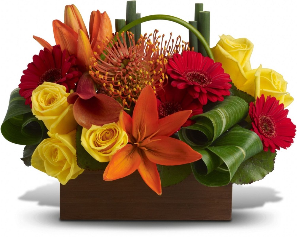 Где найти и как искать флористическую академию