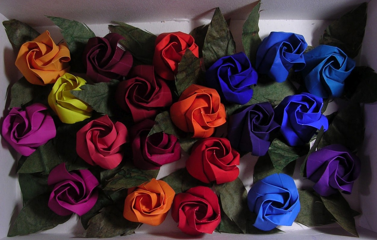 Как и где записаться в флористический лицей