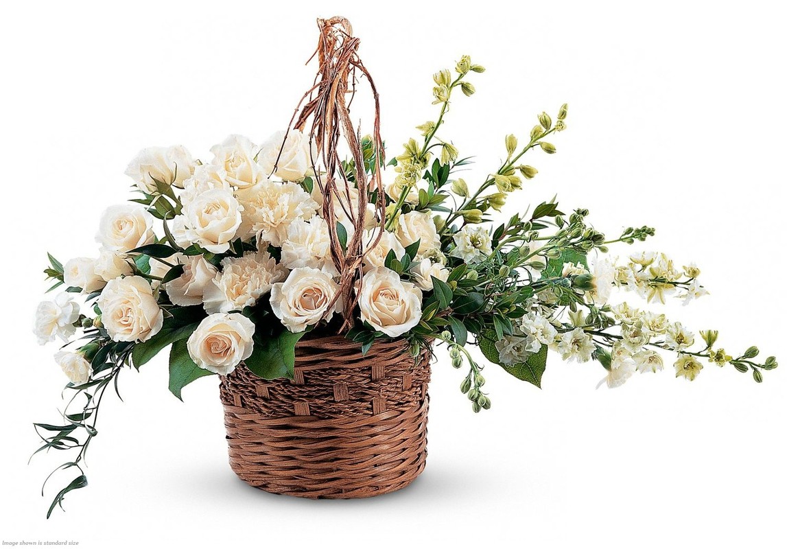 Какие сроки, сколько длятся флористические курсы в школе, центре обучения (образование)? Какие сроки, сколько длятся флористические курсы в школе, центре обучения (образование)?