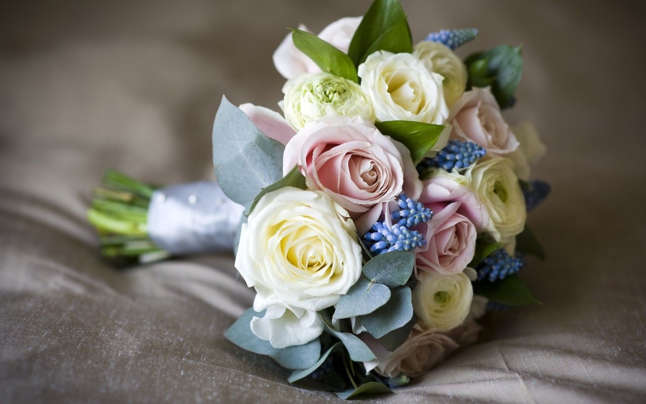 Выбираем месячные (за месяц) флористические курсы в колледже (техникуме), академии