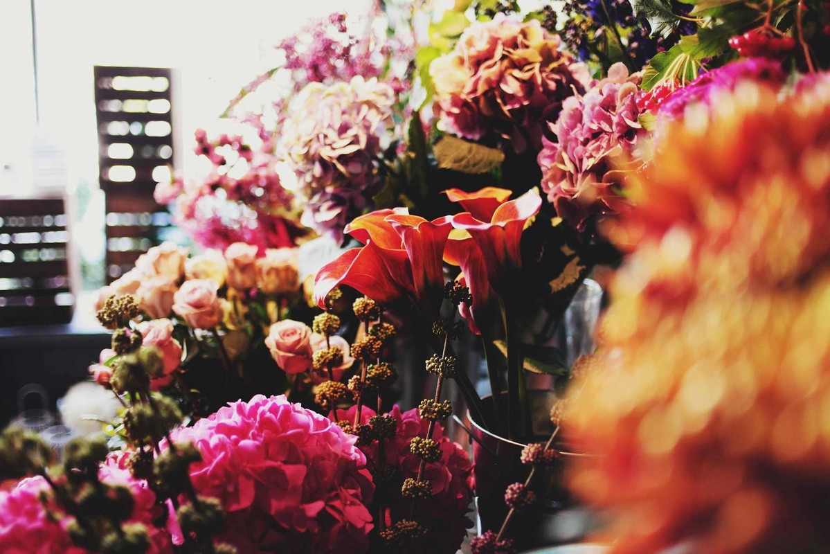 Выбираем интенсивные (быстрые) флористические курсы в колледже (техникуме), академии!