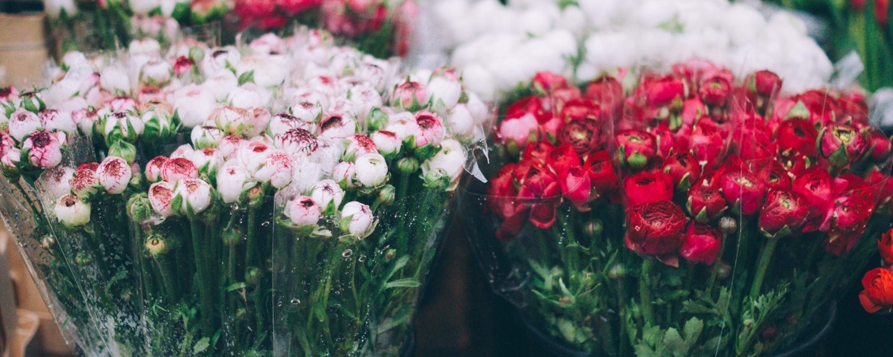 Как и где записаться в флористический учебный центр (курсы) Как и где записаться в флористический учебный центр (курсы)