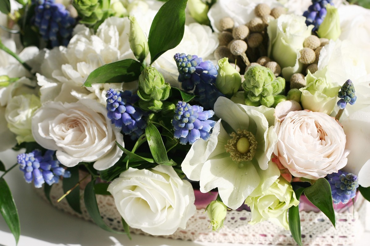 Как и где выбрать флористические курсы обучения от центра занятости (цзн)