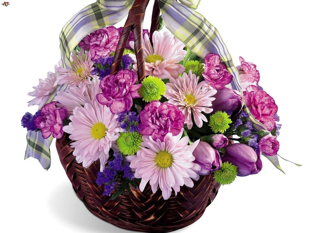 Анализируем качество обучения в лицеях искусства флористов