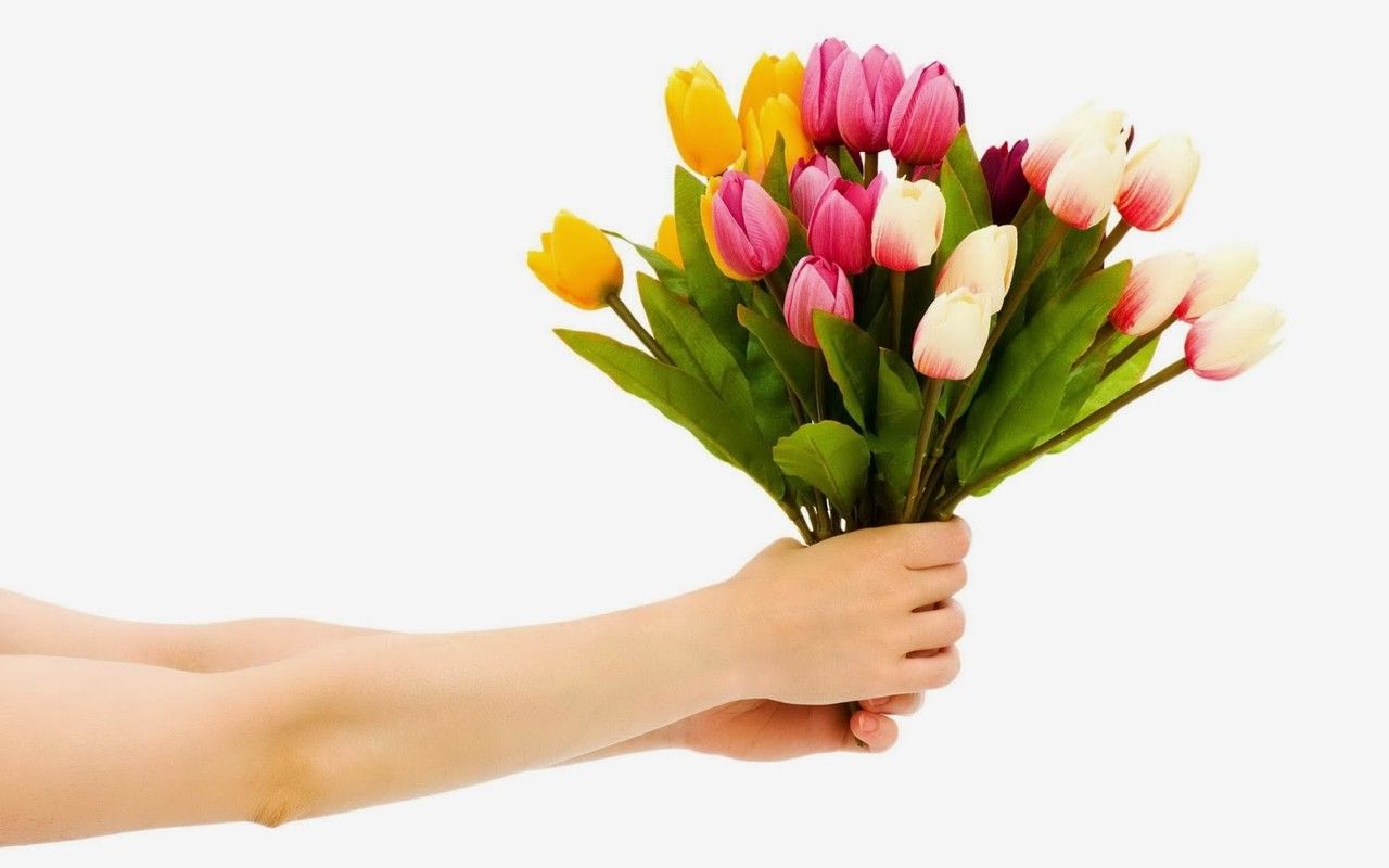 Юный флорист! В поиске учебного заведения? Тогда тебе сюда!