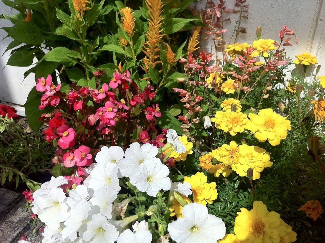 Как искать нужные курсы обучения флористов Как искать нужные курсы обучения флористов