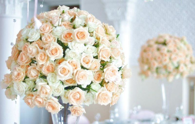 Как проходит образовательный процесс в разных флористических лицеях