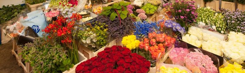 Лучшие предложения где научиться делать прически с флористической профессией