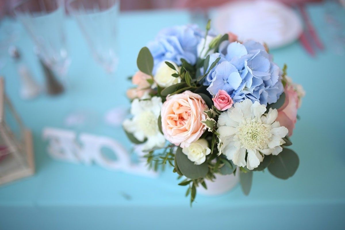 Мы поможем вам найти самые посещаемые школы флористов Мы поможем вам найти самые посещаемые школы флористов