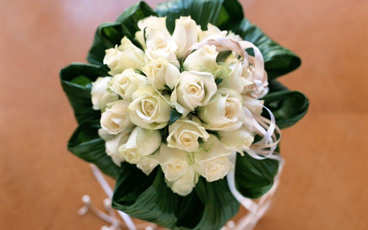 Объявляем лучший лицей флористики