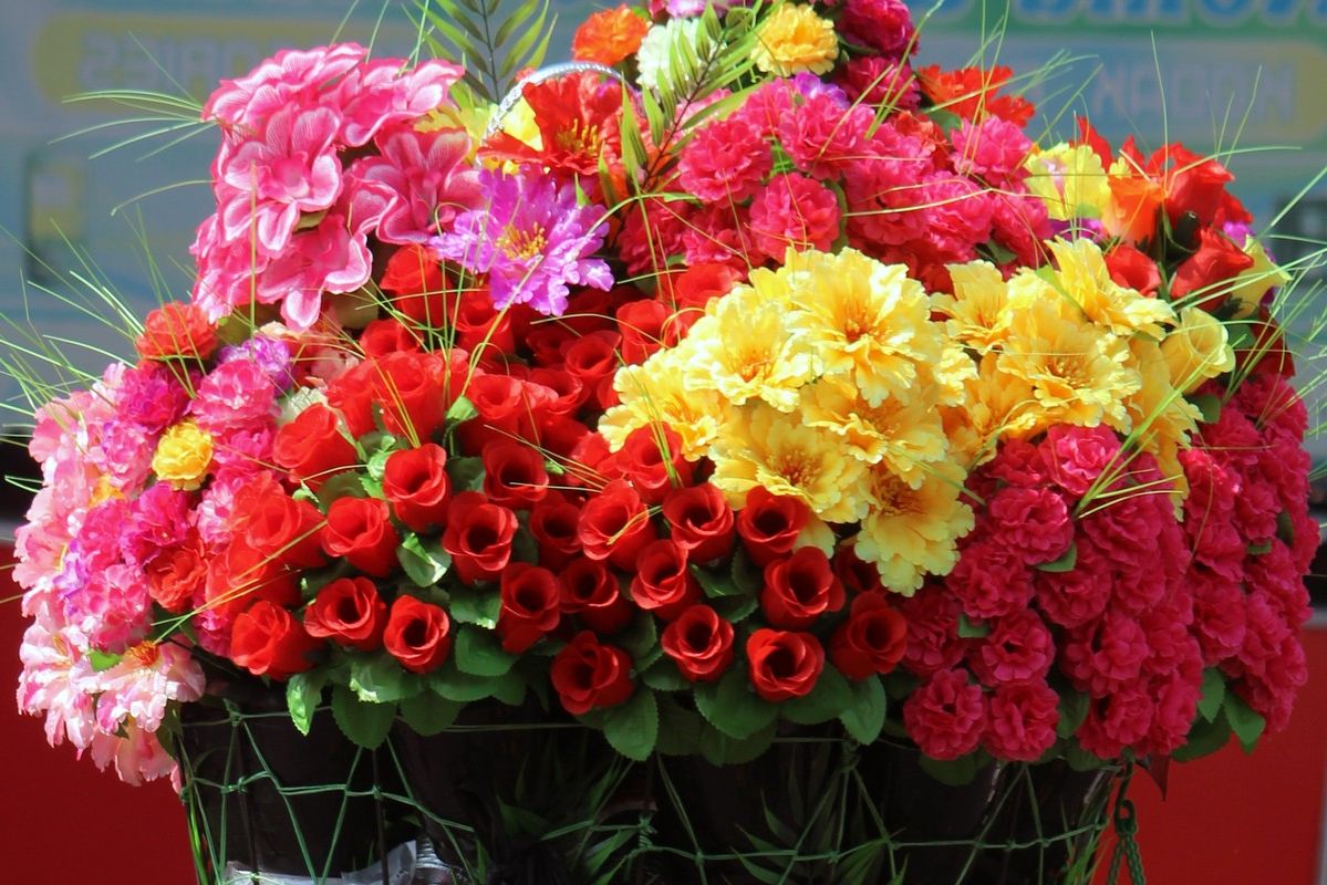 Обучение в учебном комбинате: достаточная ли база знаний и навыков