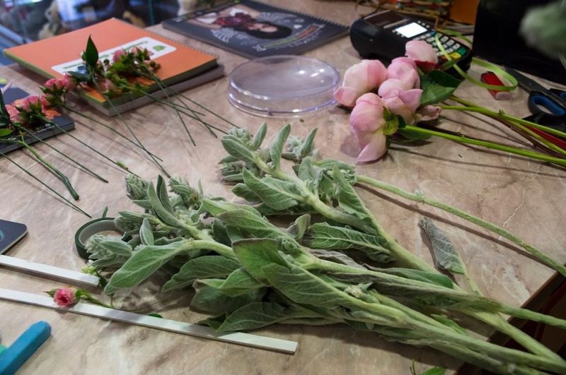 Поступление в флористические учебные заведения