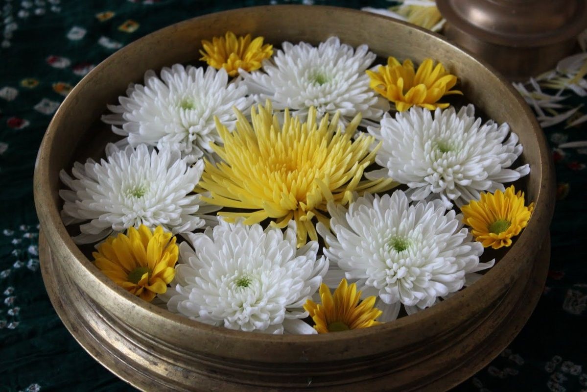 Советы по выбору мастер-класса (мк) для флористов