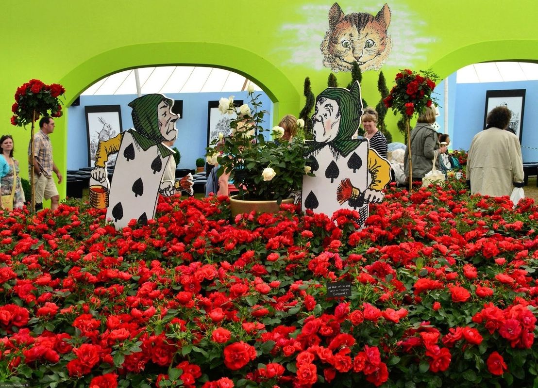 Стань студентом академии флористов, мы расскажем где и как лучше учиться Стань студентом академии флористов, мы расскажем где и как лучше учиться