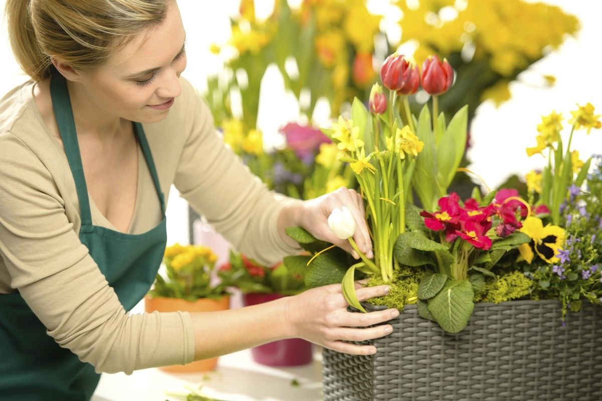 Учебные комбинаты: где готовят лучших флористов? Учебные комбинаты: где готовят лучших флористов?