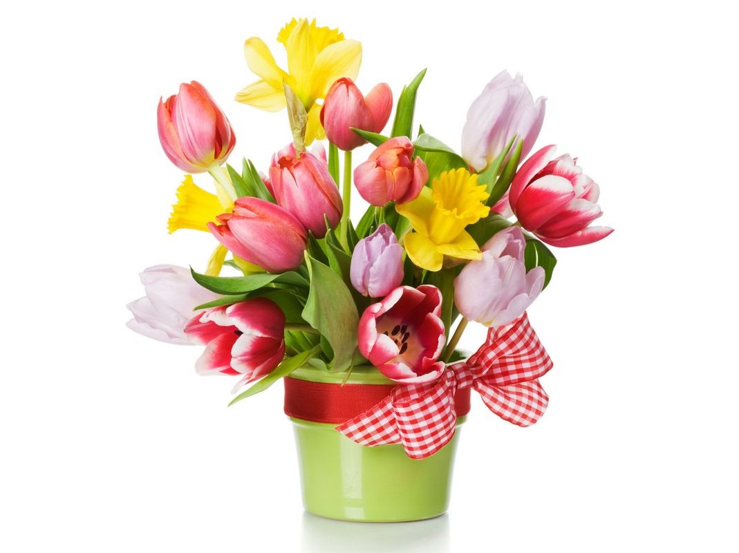 Все о поступлении и обучении в учебных студиях (салонах) искусства флористов