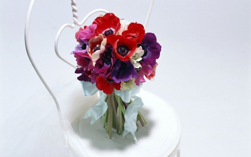 Заканчиваем флористический лицей: все нюансы и подробности Заканчиваем флористический лицей: все нюансы и подробности